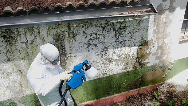 Mold Remediation service in Henrico, Henrico, NC